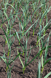 Similar image 239946