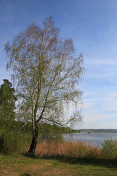 Similar image 239947