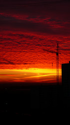 Similar image 239951