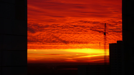 Similar image 239952