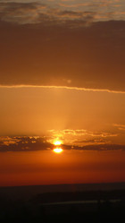 Similar image 239954