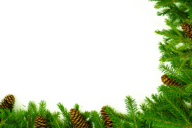 Similar image 239989