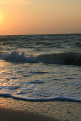 Similar image 239998