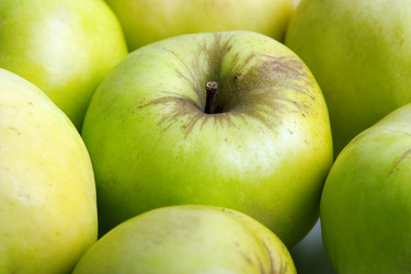 Similar image 240019