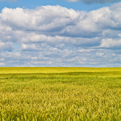 Similar image 240024