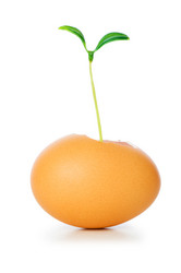 Similar image 240042