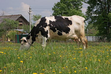 Similar image 240099