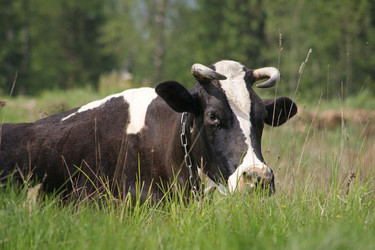 Similar image 240100