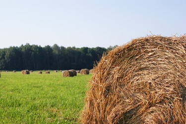 Similar image 240104