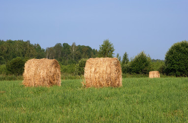 Similar image 240105