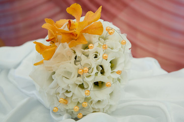 Similar image 240110