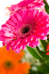 Similar image 240116