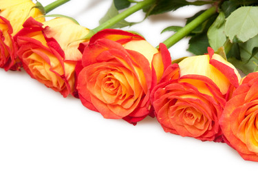 Similar image 240117