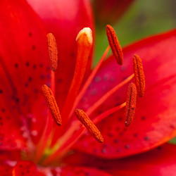 Similar image 240118