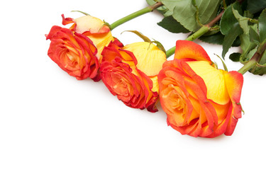 Similar image 240150