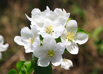 Similar image 240178