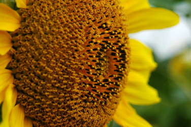 Similar image 240180