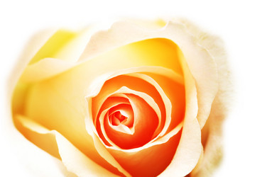 Similar image 240202