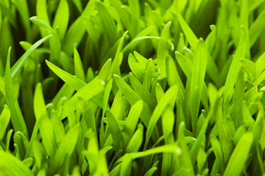 Similar image 240248