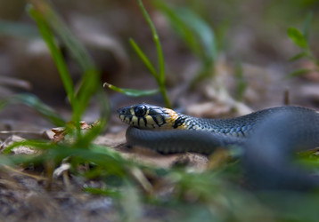 Similar image 240269