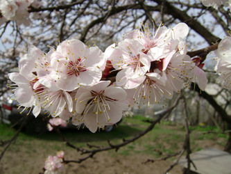 Similar image 240279