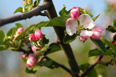 Similar image 240288