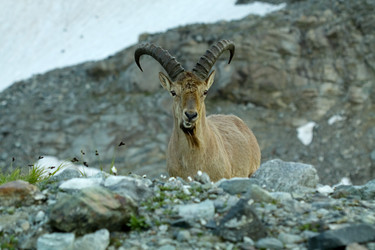 Similar image 240289