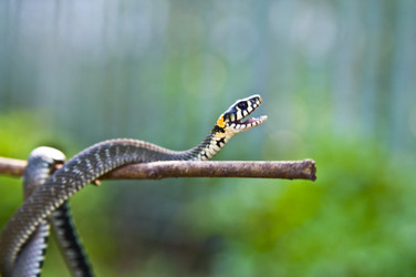 Similar image 240296