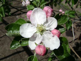 Similar image 240299