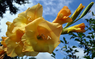 Similar image 240300