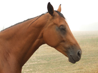 Similar image 240306