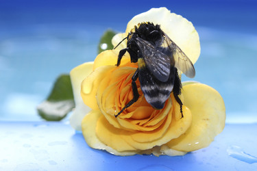 Similar image 240310