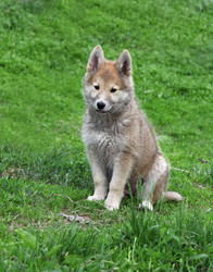 Similar image 240324