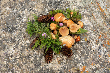 Similar image 240325