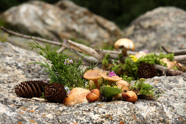 Similar image 240326