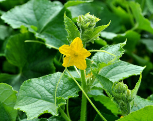 Similar image 240358