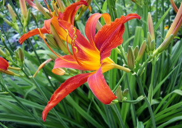 Similar image 240360