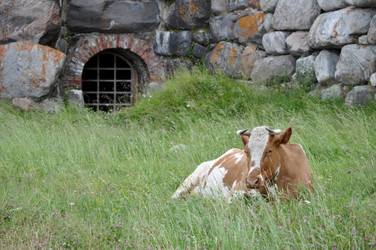 Similar image 240373