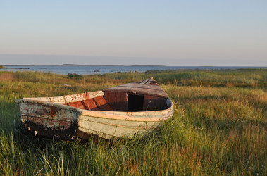 Similar image 240417