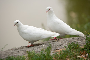 Similar image 240425