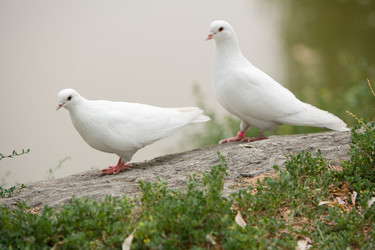 Similar image 240426