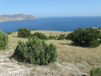 Similar image 240436