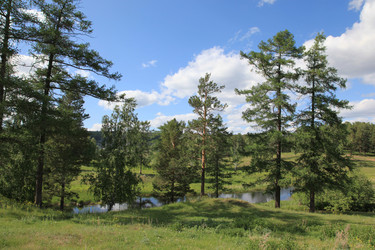 Similar image 240438