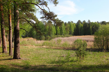 Similar image 240439