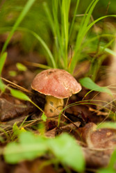 Similar image 240445