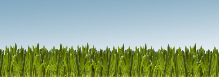 Similar image 240446