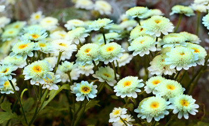 Similar image 240448