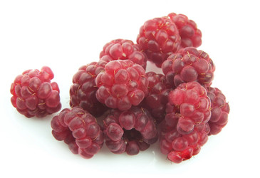 Similar image 240475