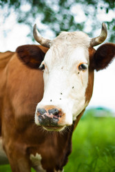 Similar image 240505