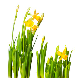 Similar image 240511